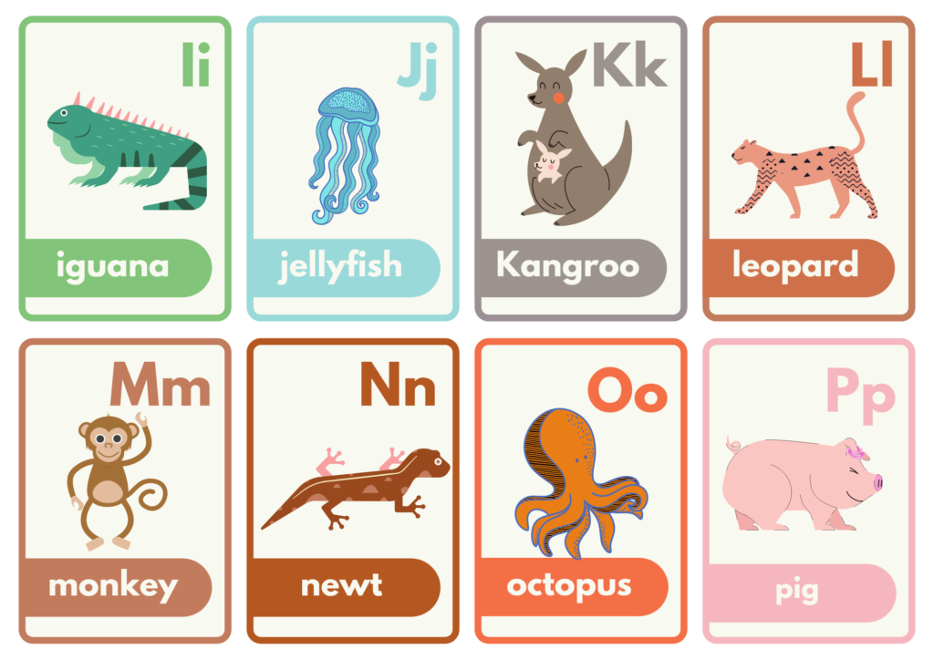 Animal alphabet flash Cards