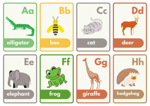 Animal Flash Cards A to Z - Free Preschool